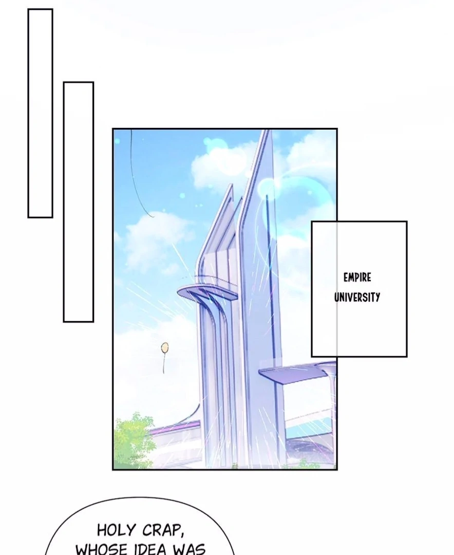 004.webp