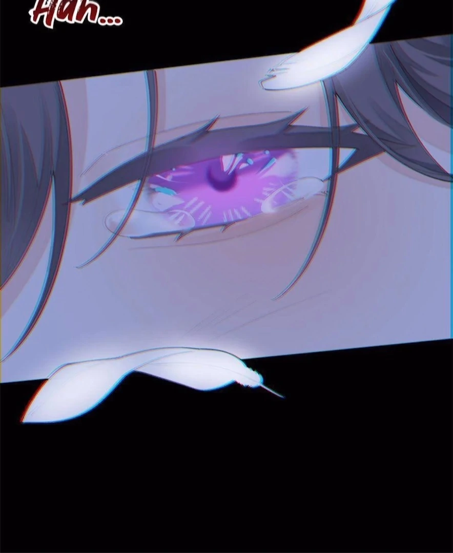 017.webp