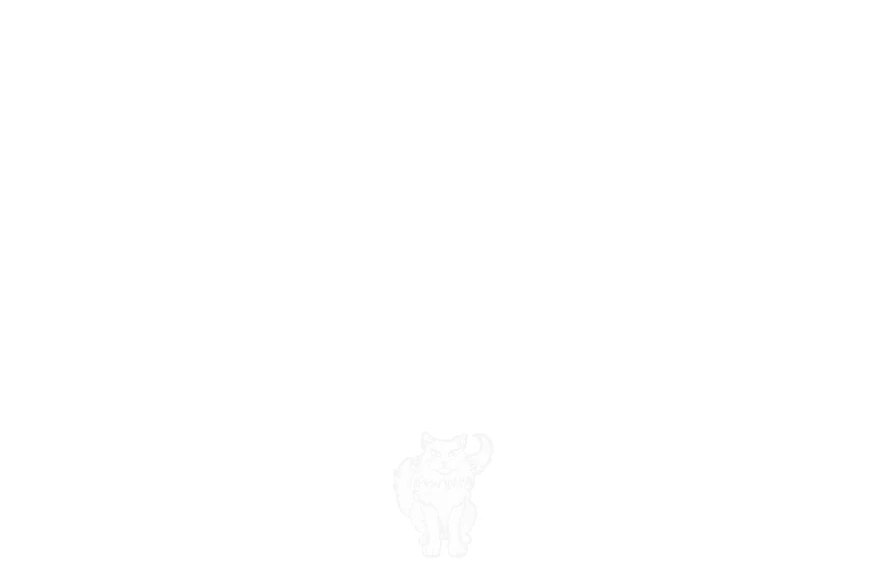 041.webp